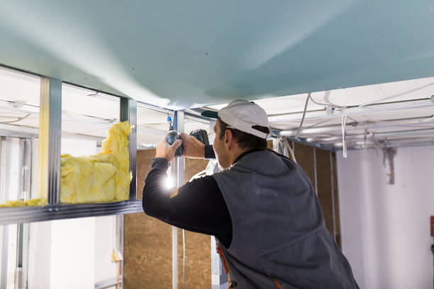 Insulation Repair Services in Norwich, NY