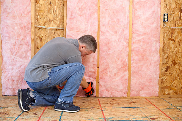 Best Insulation Repair Services  in Norwich, NY