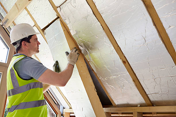 Best Insulation Removal  in Norwich, NY
