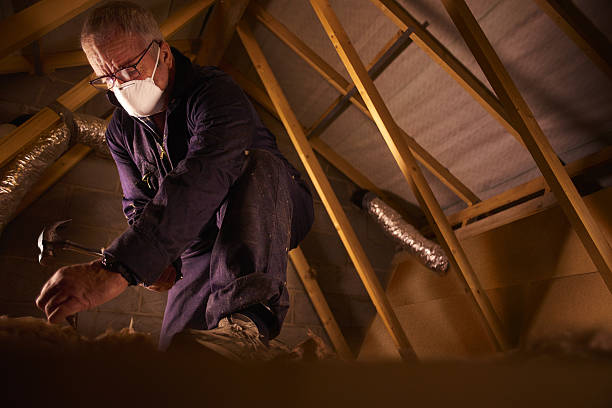 Best Wall Insulation Contractor  in Norwich, NY